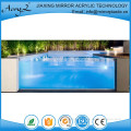 Professional Manufacturer Hot Sale Acrylic Swim Spa